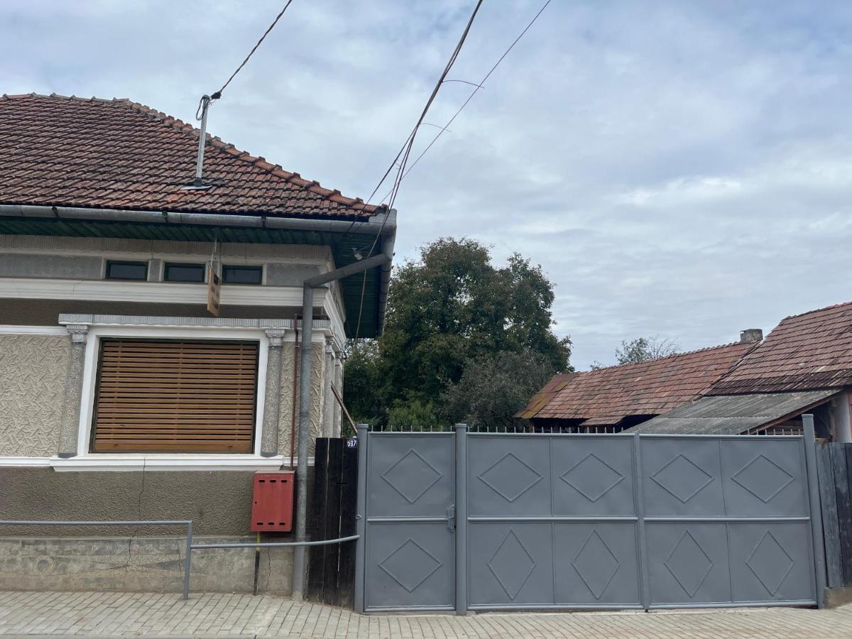 Casa Lucian Appartement Cîrţişoara Buitenkant foto